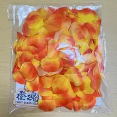 読売ジャイアンツ 橙魂 2026 フラワーレイ応援グッズ