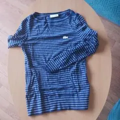 LACOSTE ネイビー ストライプ ニット
