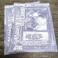 エンディミオン2枚セット