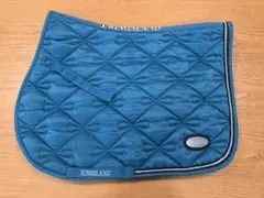 KINGSLAND 青 ゼッケン