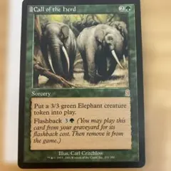 MTG 獣群の呼び声 英語版 4枚組 TSB版 - メルカリ