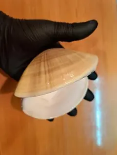 国産はまぐり貝殻 11個セット