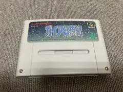 値下げ不可　SFC ガイア幻想紀　スーパーファミコン ソフト　カセット