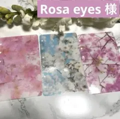Rosa eyes様 リクエスト 3点 まとめ商品