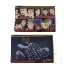 ウエハース 6 ハイキュー!! 音駒 灰羽リエーフ 孤爪研磨 黒尾鉄朗