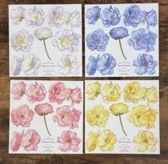 hwara様 ♡ ラナンキュラス 4枚(同梱560円)のサムネイル