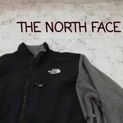 THE NORTH FACE ザ ノース フェイス デナリジャケット
