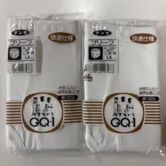 グンゼ GQ-1 ブリーフ 2枚セット LAサイズ