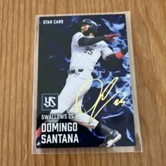 ヤクルト　サンタナ　プロ野球チップス　サインカード