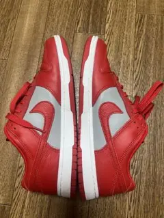 NIKE ダンクロー　バイユー