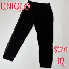 Item thumbnail for item 960b5161-14b9-4f72-a6ad-9d632eb08526