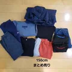2026年最新】プーマトレーナー160の人気アイテム - メルカリ