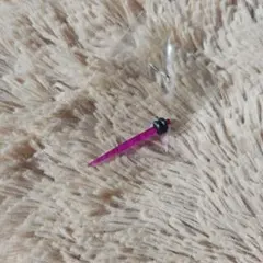 Item thumbnail for item 9bdcda3f-e643-4b85-8d4c-16887475f04b