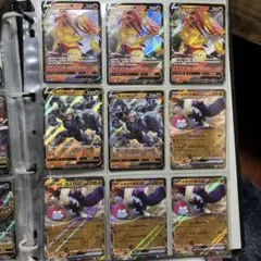 あつめてポケモン ビジュアルプラカード カイリュー アイリスの