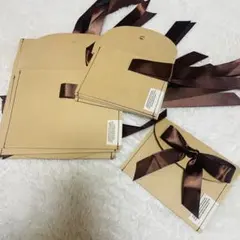 紙製 ラッピング厚紙袋 リボン付き ギフト袋