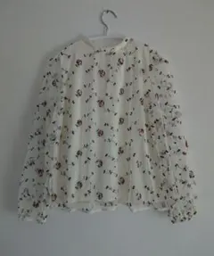 Item thumbnail for item 7d443c95-8218-4138-9ef7-b01e8fb9f2df