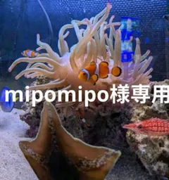 Item thumbnail for item 8982cfe0-2abe-4829-8061-8cb0680d0529