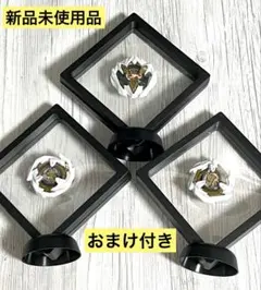 2026年最新】X UX-00 アジアチャンピオンシップ開催記念 ドランデッキ