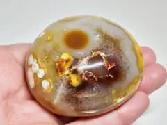 Item thumbnail for item 87e731cc-ac61-465b-bfd1-962a514217d8