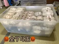 Item thumbnail for item 37b7a295-3300-48a9-b1fd-927f0f35a04f