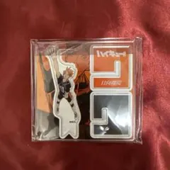 ハイキュー 日向翔陽 日向 アクリルXフィギュア