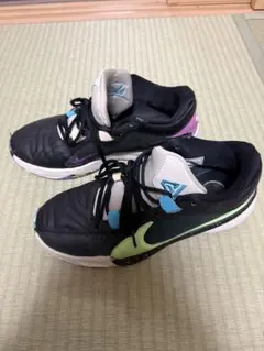 【美品】NIKE Zoom Freak 5 EP フリーク5 27cm
