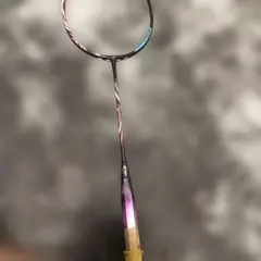 バドミントンアストロクス100ツアー