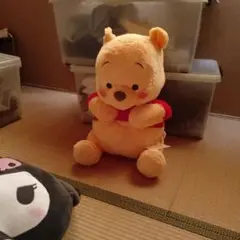 Item thumbnail for item e8859d46-1e87-45fe-a3fc-d27cf6e6aabc