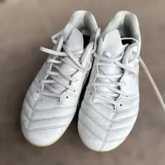 ASICS DS LIGHT ホワイト サッカーシューズ 22.5cm