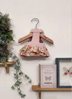 2025年最新】ミーアキャット服の人気アイテム - メルカリ