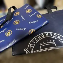 Item thumbnail for item b686005c-826d-4574-88cf-041b1df23648