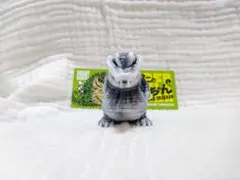 2026年最新】カゲマル クロちゃんの人気アイテム - メルカリ