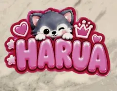 処分　手作りうちわ★文字のみ★HARUA★ネームボード★ハルア★＠team