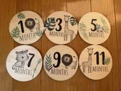 Item thumbnail for item 21757a0b-98bd-4d0f-aabc-efbc16e47daf