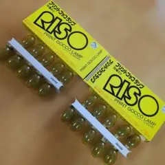 RISO プリントゴッコランプ 20個 2箱　未使用