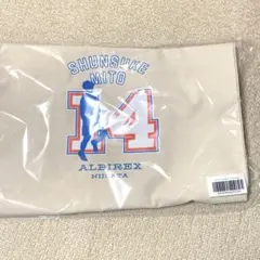 Item thumbnail for item 887b9dea-2f68-4095-b5cb-d07952da69b1