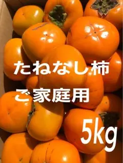 5㌔】和歌山県 九度山産 中谷早生柿(たねなし) 訳あり - メルカリ