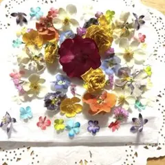 押し花 素材 ミックス アソート【2609】 - メルカリ