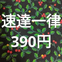 速達一律390円