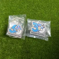 ポケモン 30周年 メタルチャームマスコット キーホルダー ゼニガメ　カメックス