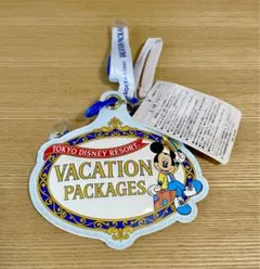 【新品タグ付】　バケパ　ディズニー　ミッキー　チケットホルダー　ガードケース