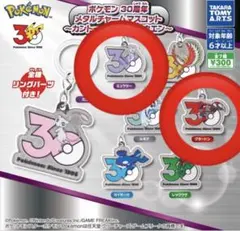 ポケモン 30周年 メタルチャームマスコット ミュウツー　グラードン　カントー