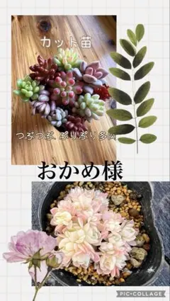 *おかめ*様 リクエスト 2点 まとめ商品