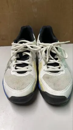 Item thumbnail for item e24d9f3a-119f-4337-9273-2f2a156c5a39