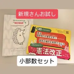 新規さんお試し 小部数チラシセット