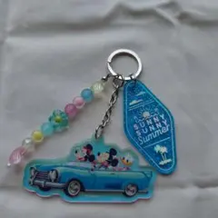 ディズニー サニーサニーサマー キーチェーン シークレット