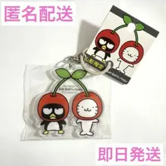 バッドばつ丸、グッドはな丸 グッズセット バッドばつ丸、グッドはな丸 グッズセット - メルカリ