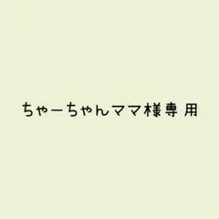 ちゃーちゃんママ様 リクエスト 2点 まとめ商品