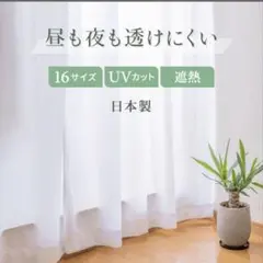 Item thumbnail for item b49c1d2f-1b47-46c0-afa9-db9e00120799