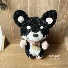＊いぬ＊チワワ（ブラックタン）あみぐるみ＊チャーム付き首輪